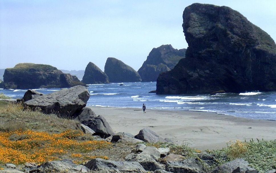Beach Photo