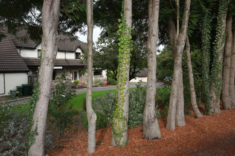 Outdoor view
