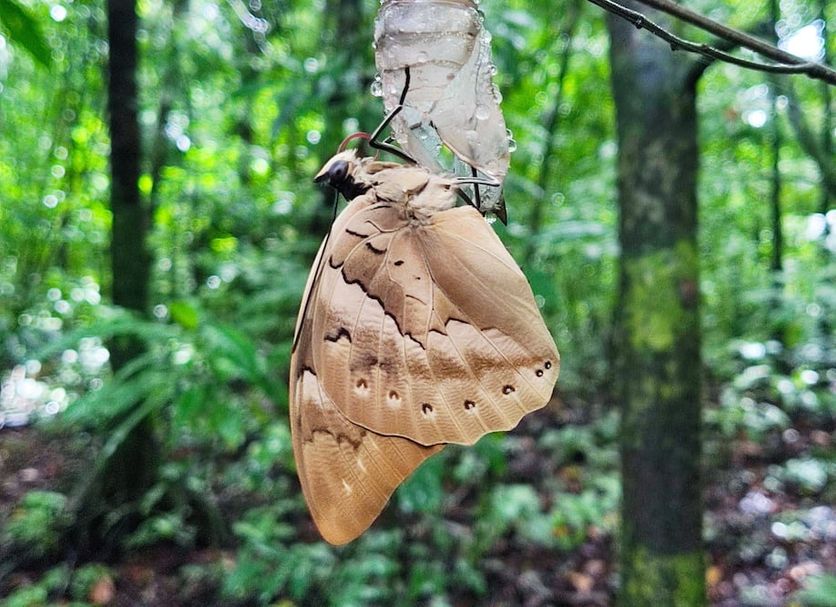 Other Photo