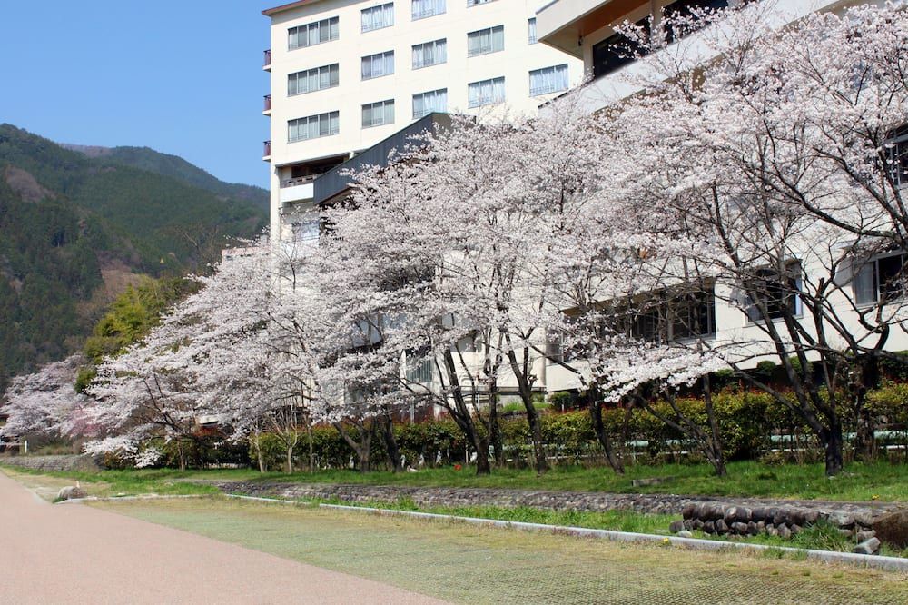Outdoor view