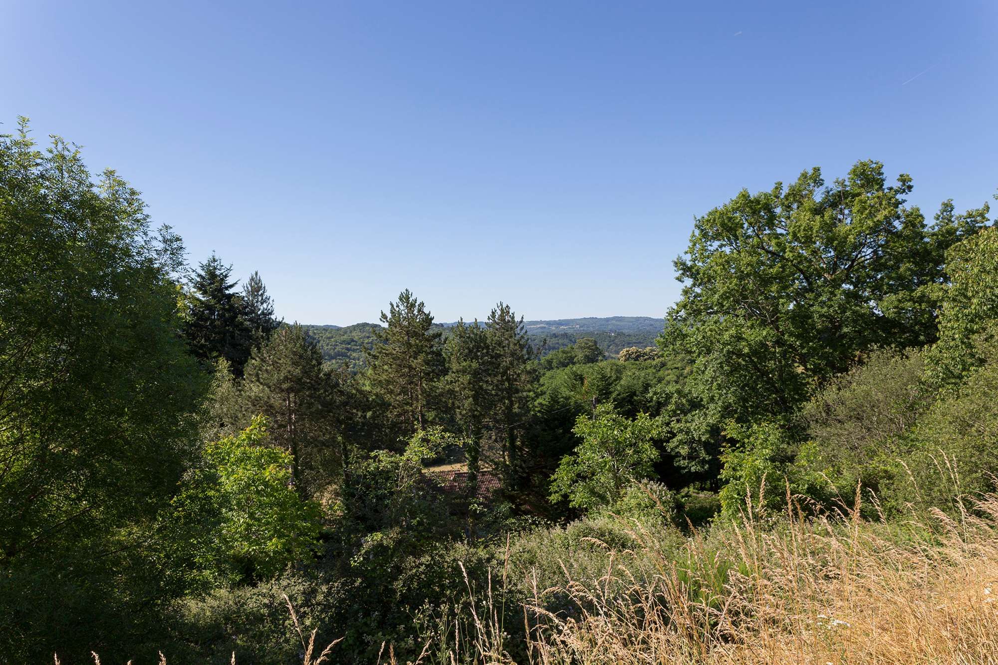 Outdoor view