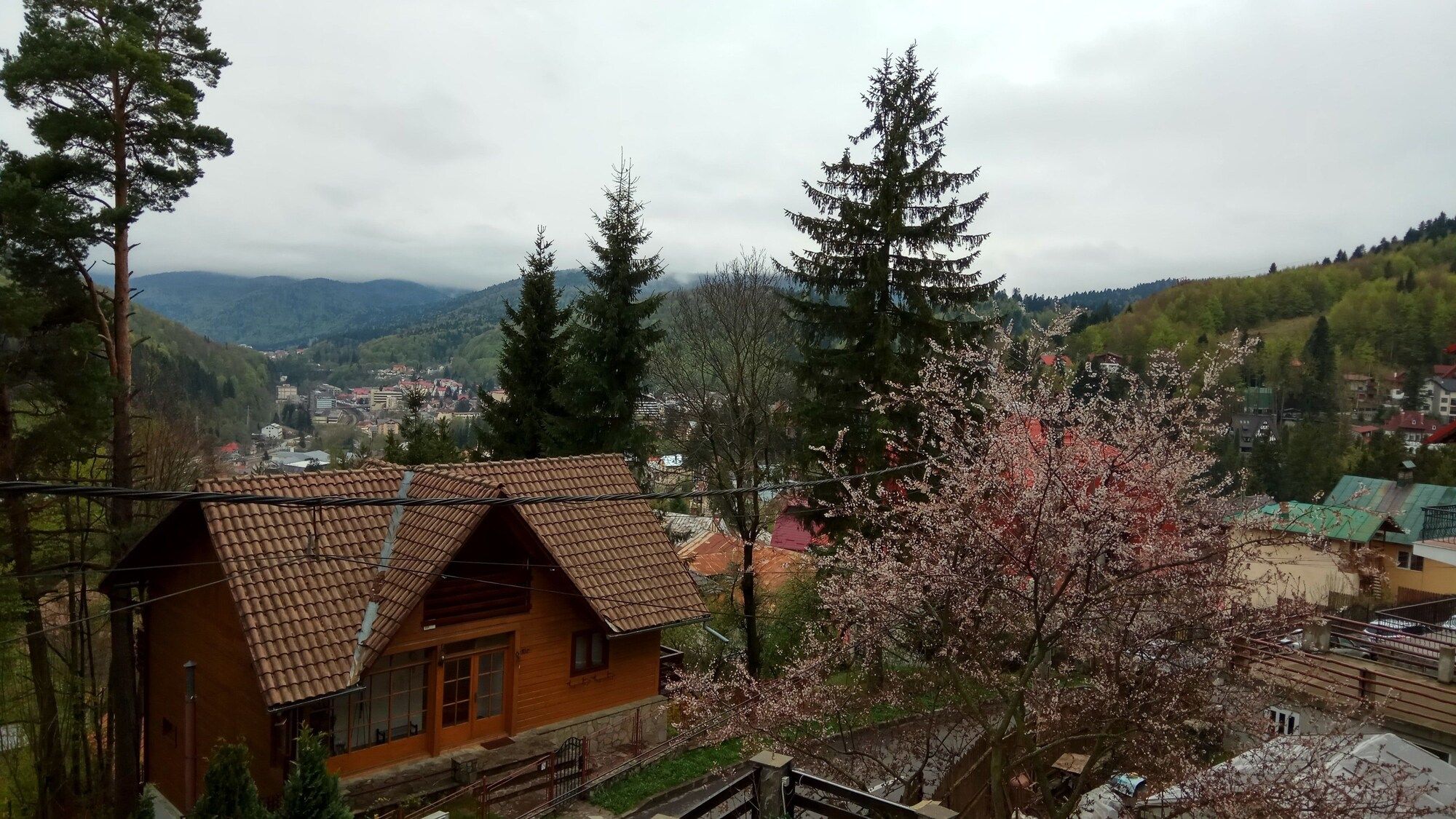 Outdoor view