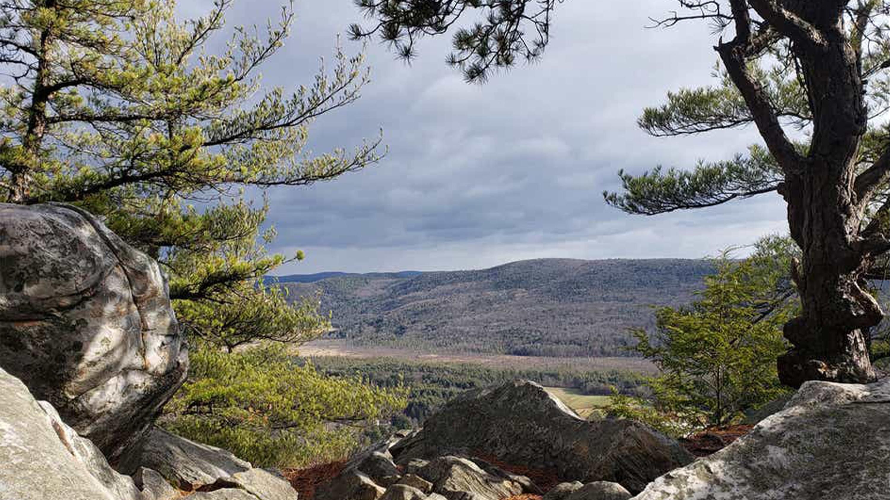 Outdoor view