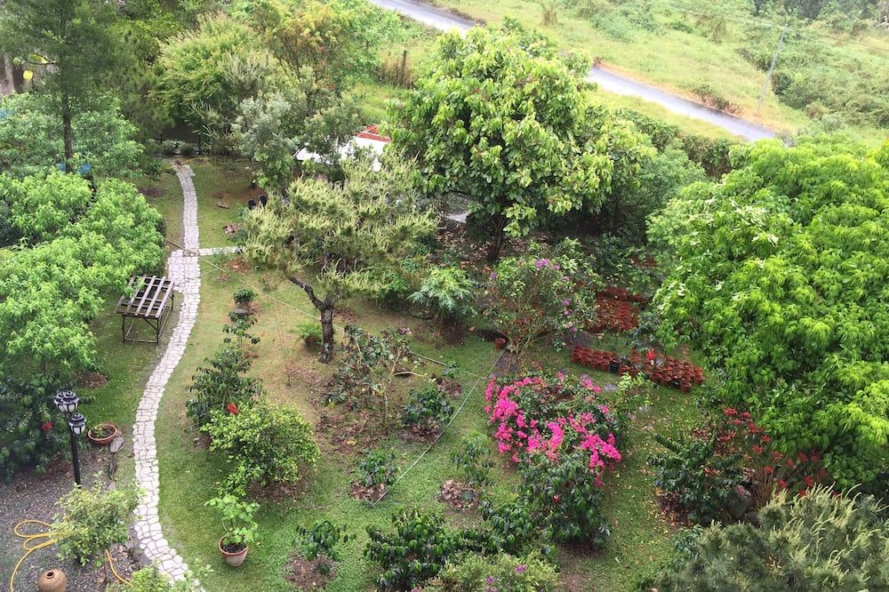 Outdoor view