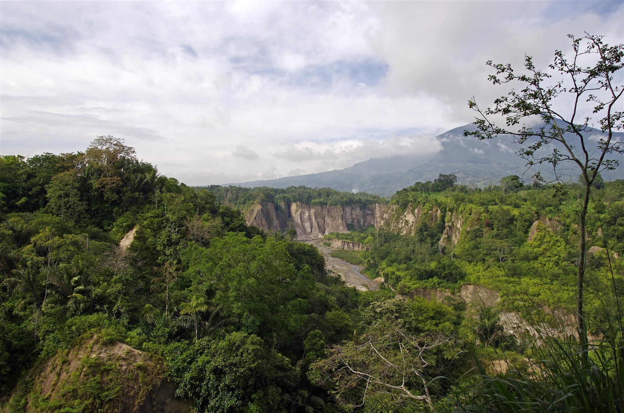 Outdoor view