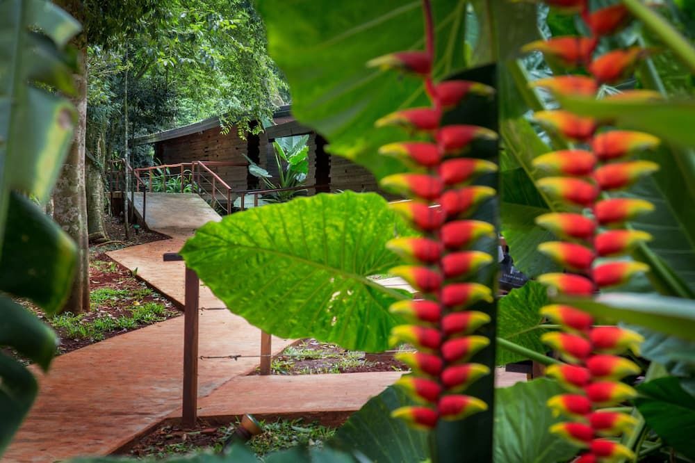Outdoor view