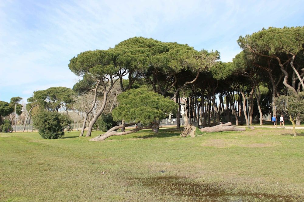 Outdoor view