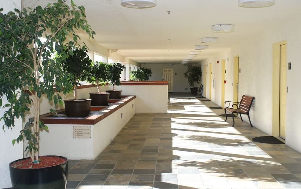 Decor Photo