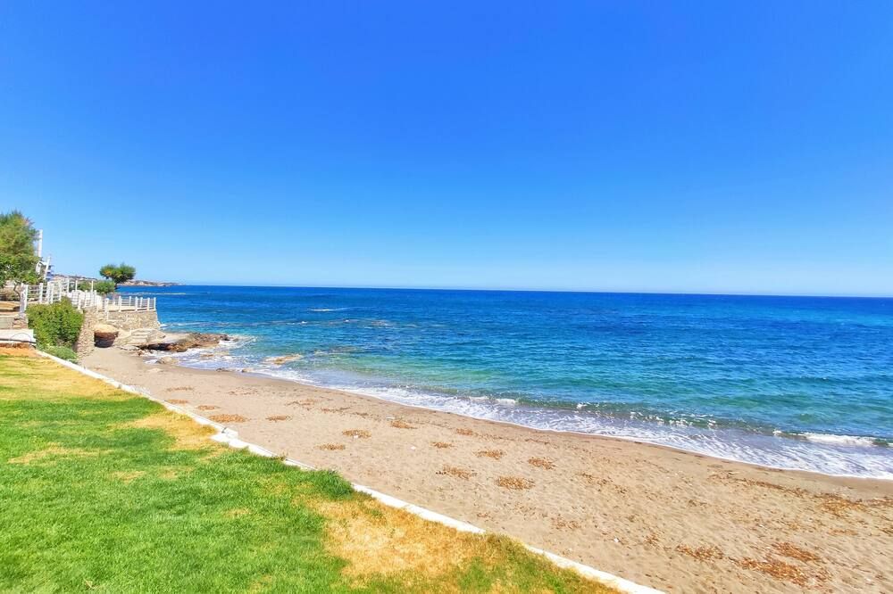 Beach Photo