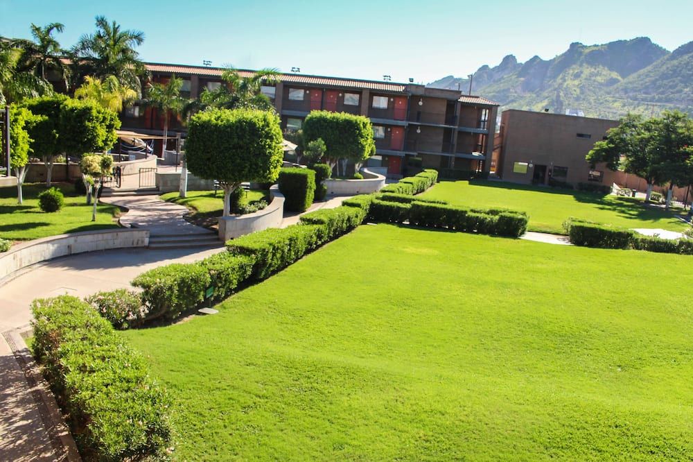 Outdoor view