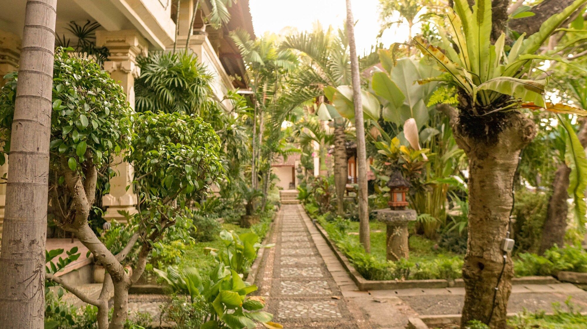 Outdoor view
