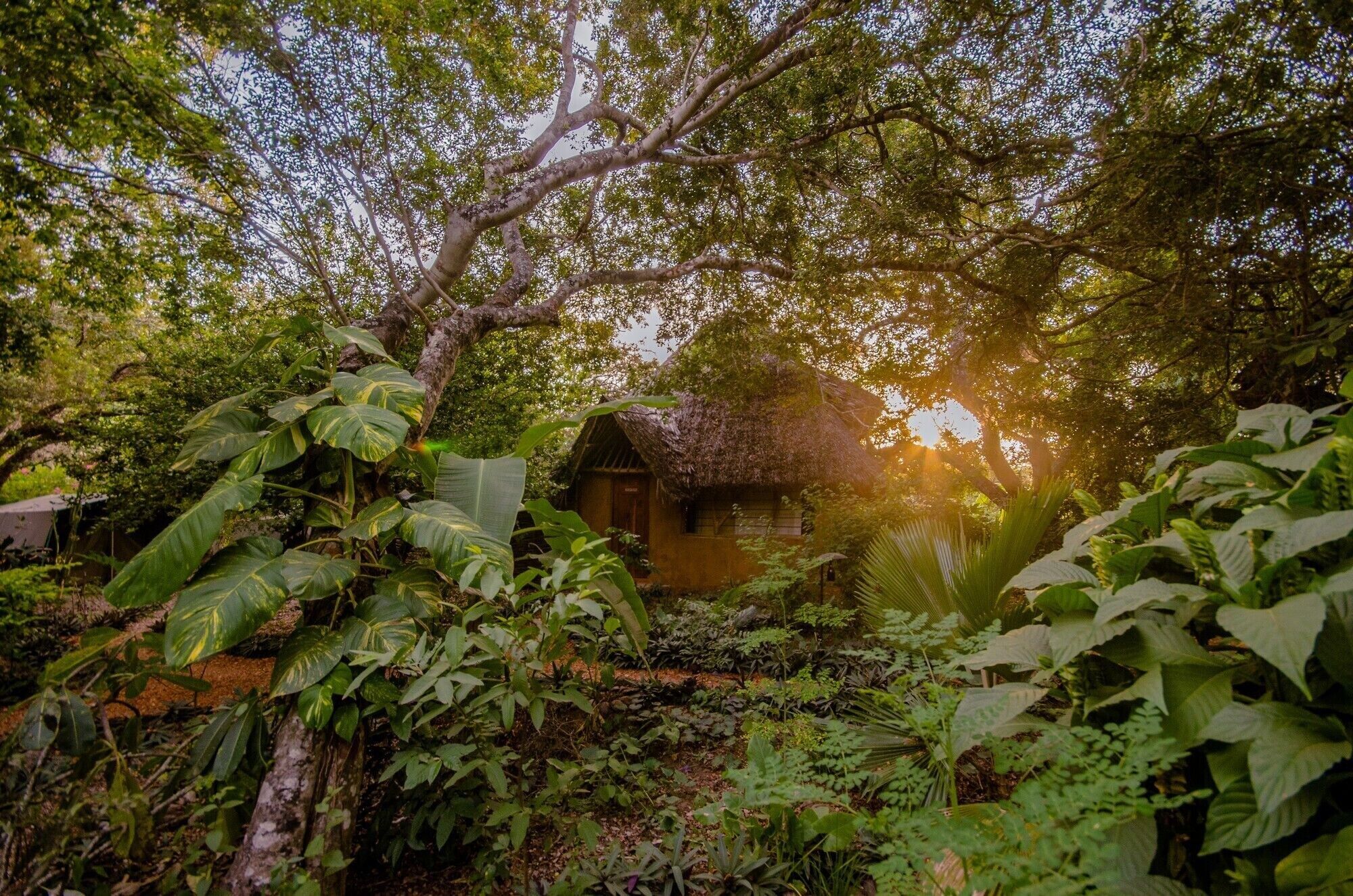Outdoor view