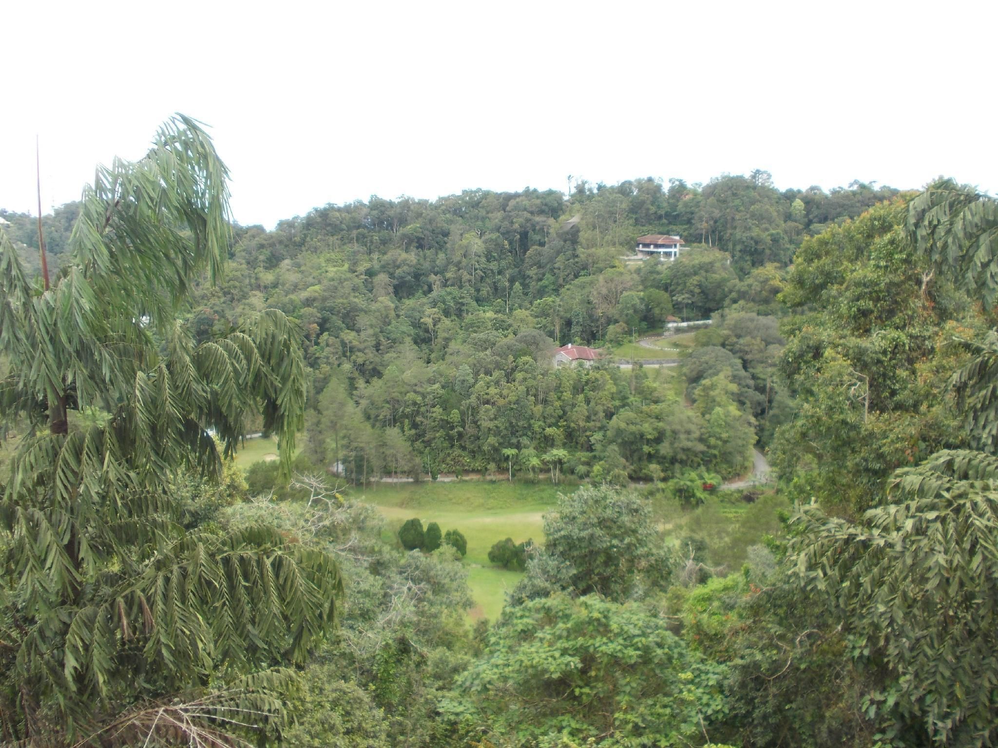 Outdoor view