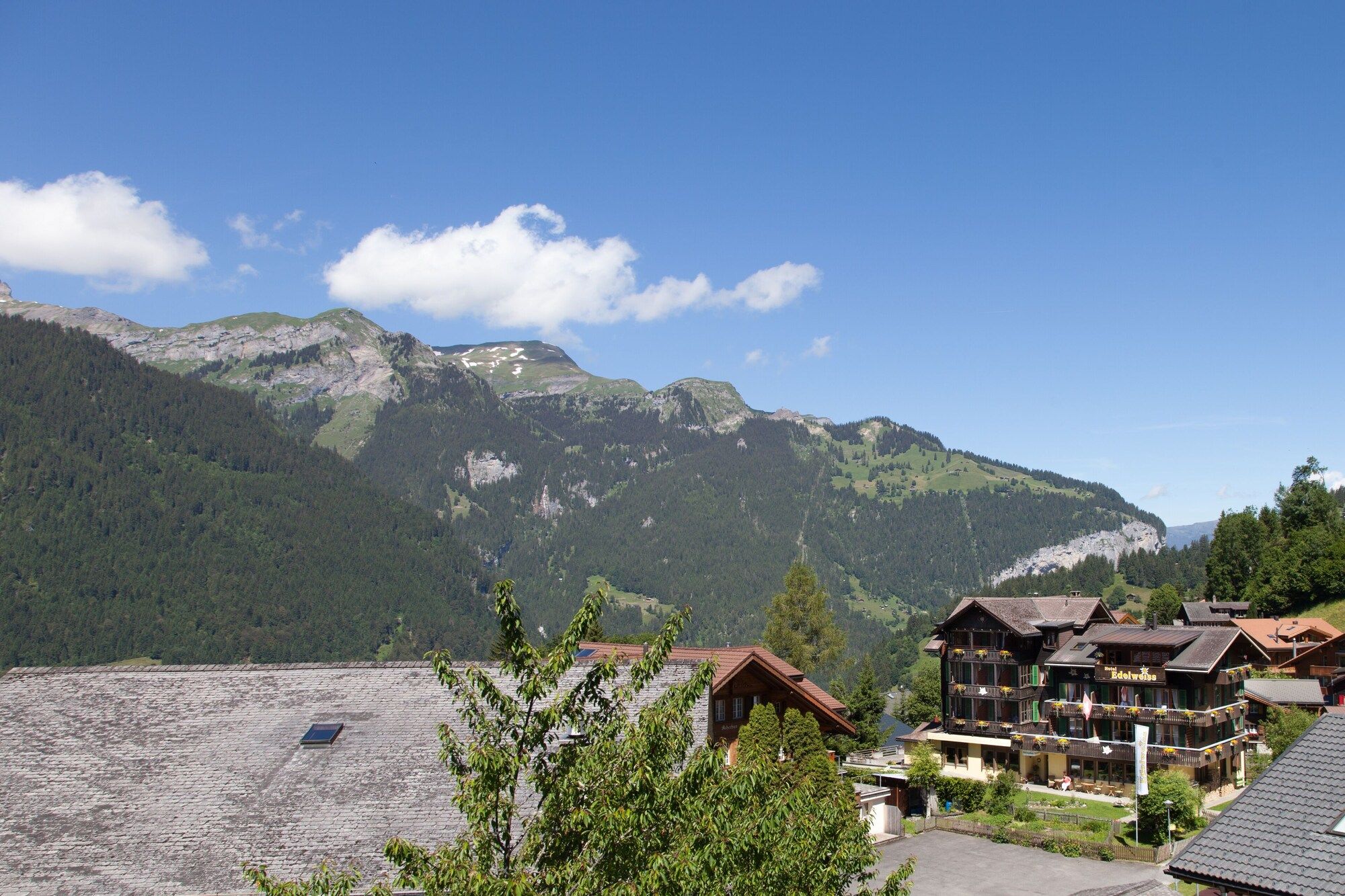 Outdoor view