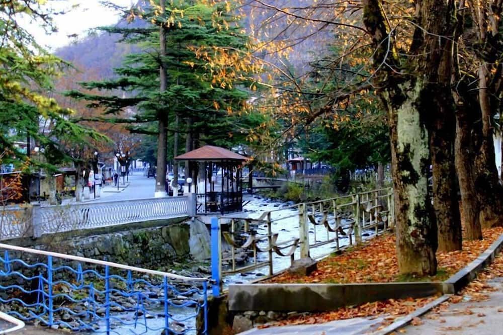 Outdoor view