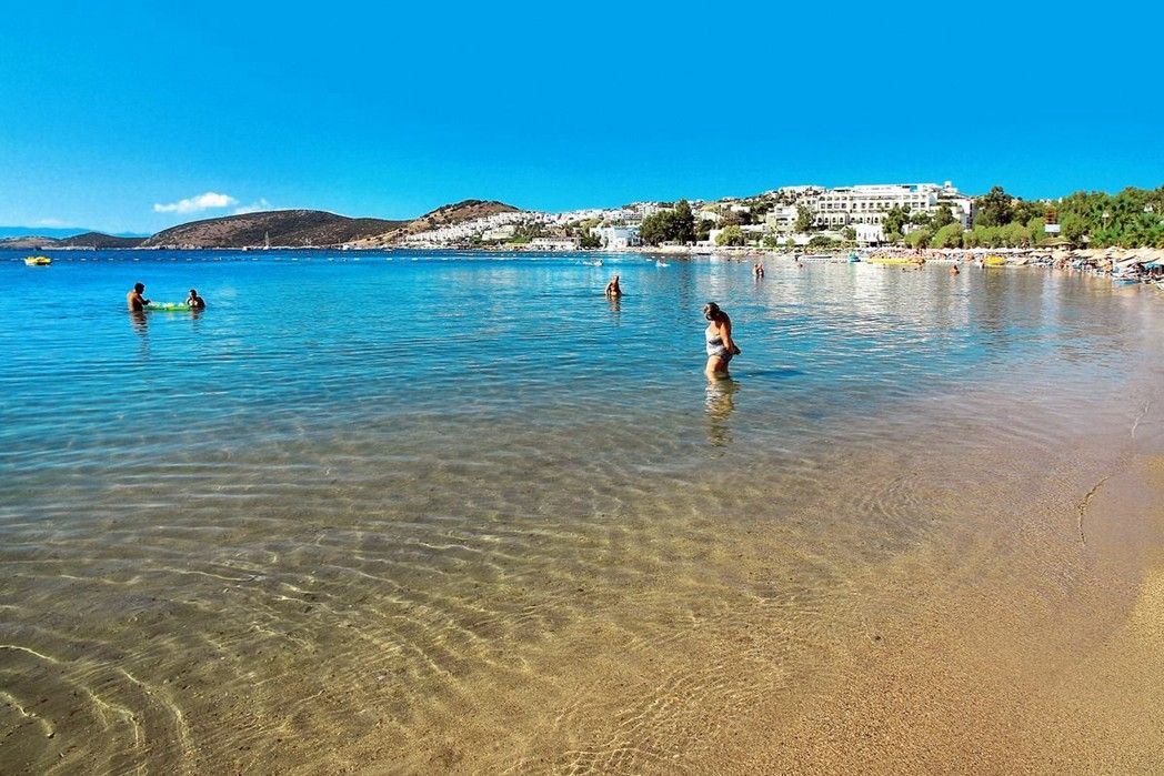 Beach Photo