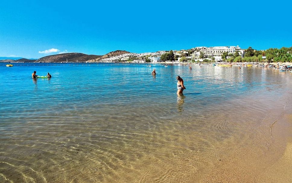 Beach Photo
