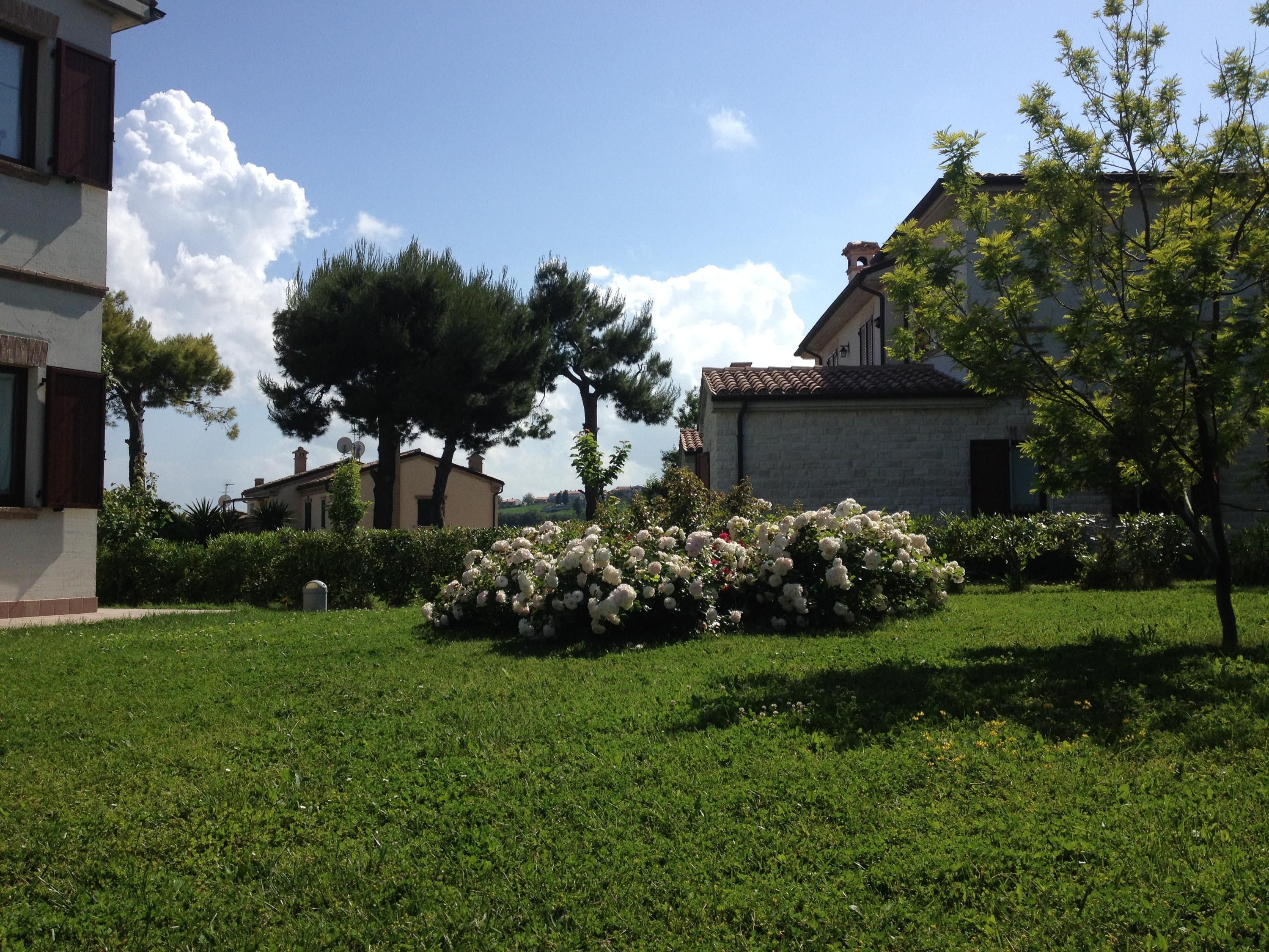 Outdoor view