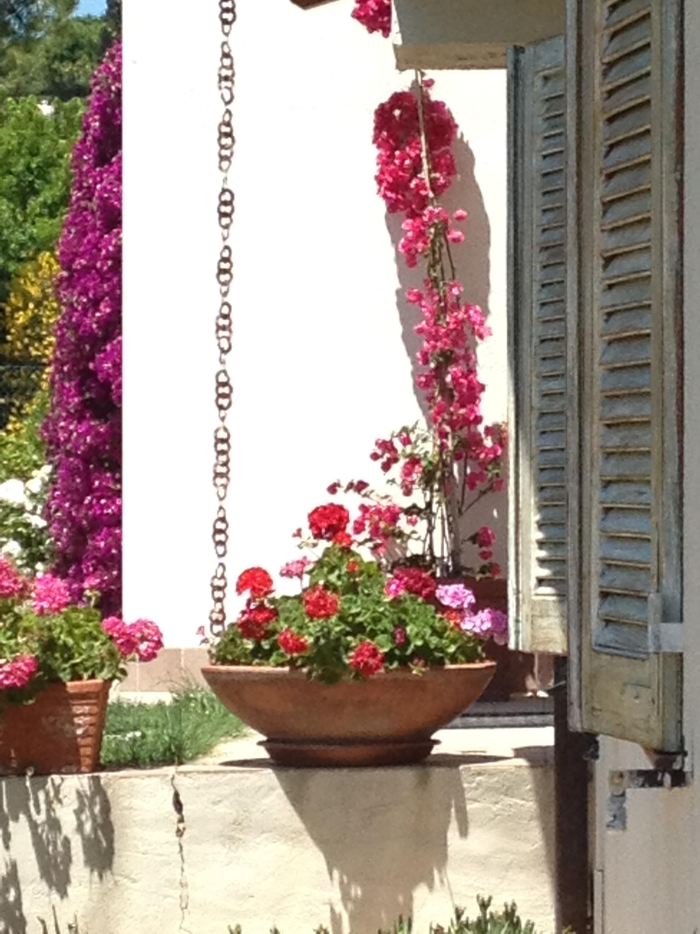 Decor